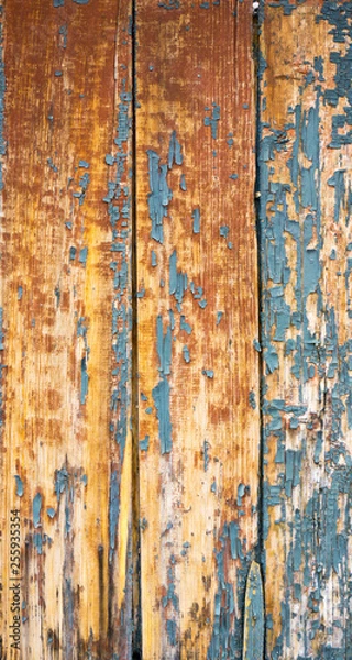 Fototapeta old wooden fence with cracked blue paint