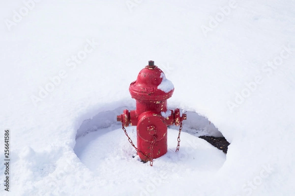 Fototapeta Red fire hydrant on the street. Fire hydrant, fireplug, fire pump, connection point by which firefighters can tap into a water supply.