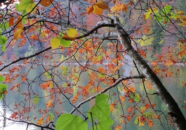 Fototapeta rotes Laub am See