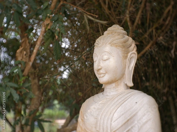 Fototapeta statue of buddha in thailand