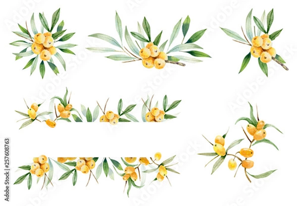 Fototapeta Decorative  compositions of branches of sea-buckthorn