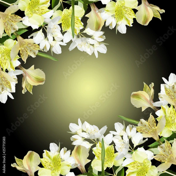 Fototapeta Beautiful floral background of Jasmine and yellow Alstroemeria. Isolated