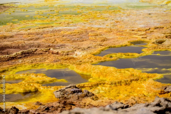 Fototapeta Dallol y Danakil in Ethiopian