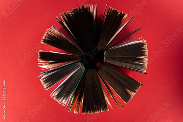 Fototapeta Top view of hardcover books on red surface