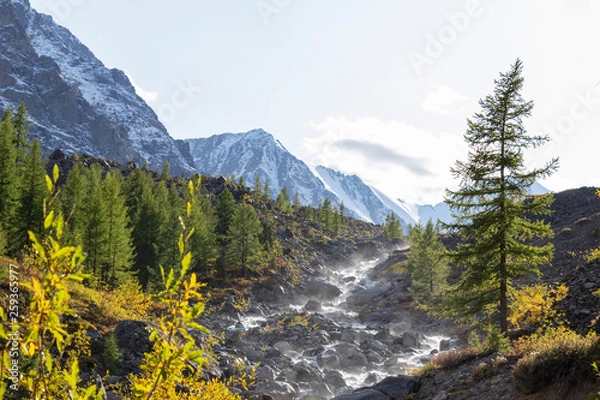 Fototapeta Forest stream running over mossy rocks in Taiwan Ilan