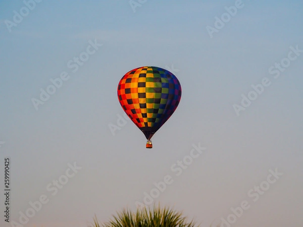 Fototapeta Colorful Air Balloon Floating Morning Sky Palm Trees