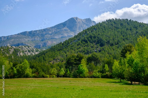 Fototapeta Montagne Sainte Victoire au printemps. Provence, France. 