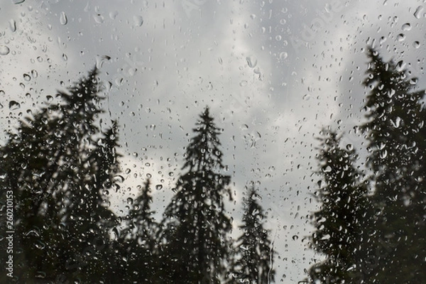 Obraz Beautiful view of fir trees from a cabin window in the mountains, covered in rain drops, and rain clouds in summer