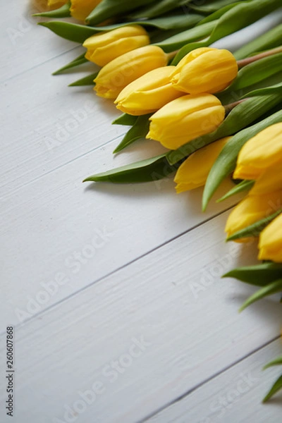 Fototapeta Row of fresh Yellow tulips on white wooden table