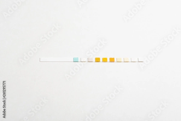 Fototapeta A single unused urine reagent strip for medical testing set on a plain white background.