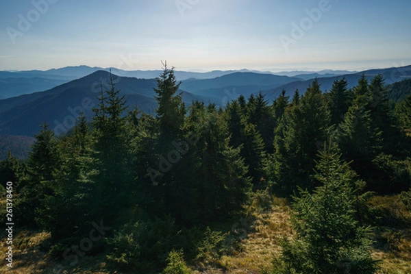 Fototapeta Landscape of the Ukrainian Carpathian Mountains, Chornohora