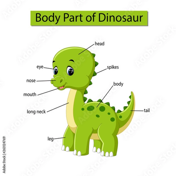 Fototapeta Diagram showing body part of dinosaur