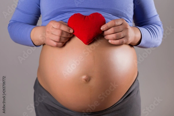 Fototapeta Image of close up stomach of pregnant woman holding red heart  on gray background.