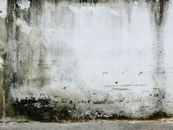 Fototapeta aged street wall with moss and mold texture background