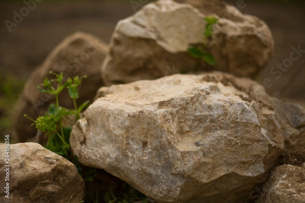 Obraz Big stone on a grass. Natural texture background.