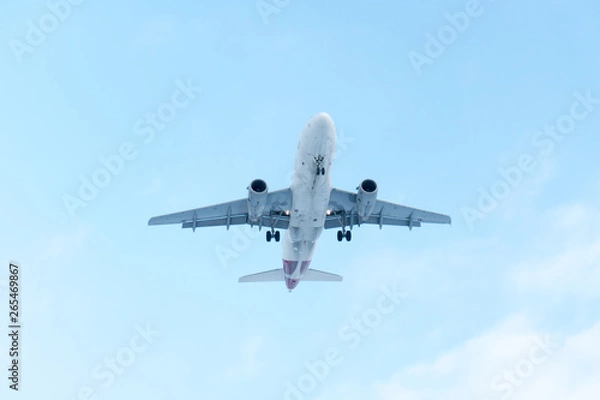 Fototapeta airplane in the sky