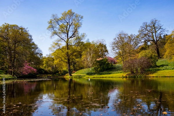 Fototapeta Beautiful view of water feature in Hodnet Hall Gardens in Hodnet