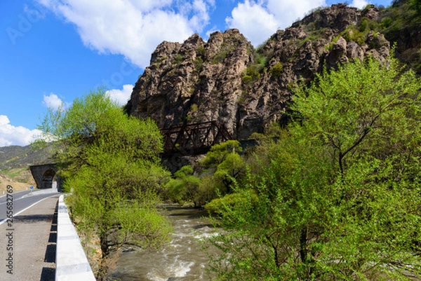 Fototapeta Nature landscape with Debed river and rocky mountanis, Armenia