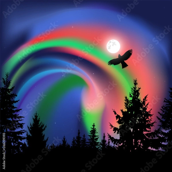 Fototapeta Silhouette of coniferous trees on the background of colorful sky.  Flying eagle. Night. Northern lights.