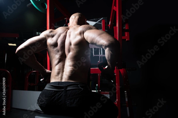 Fototapeta Bodybuilder Exercising Back In Gym