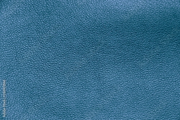 Fototapeta  Texture of genuine leather. Tint background blue.