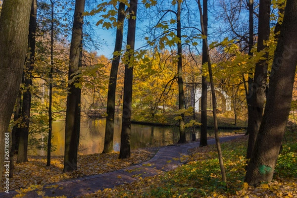 Fototapeta Road in the park and arch on the island