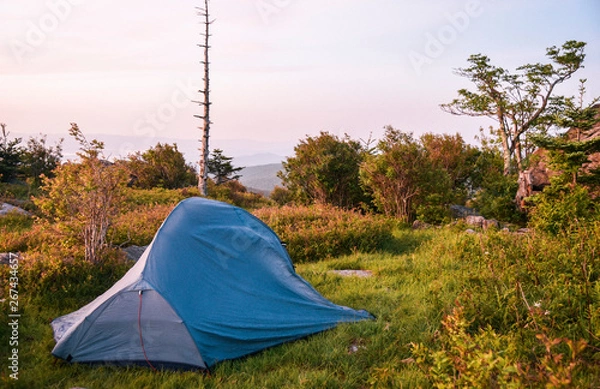 Fototapeta Camping at Grayson Highlands State Park in Jefferson National Forest in Virginia 