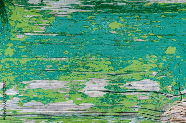 Fototapeta Texture of green rustic wood for background