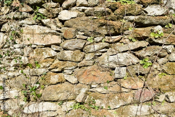 Fototapeta old stone wall