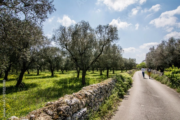 Fototapeta two people walking  in salento' s countryside, Puglia, Italy