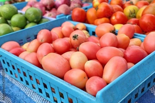 Fototapeta fresh tomatoes at the market