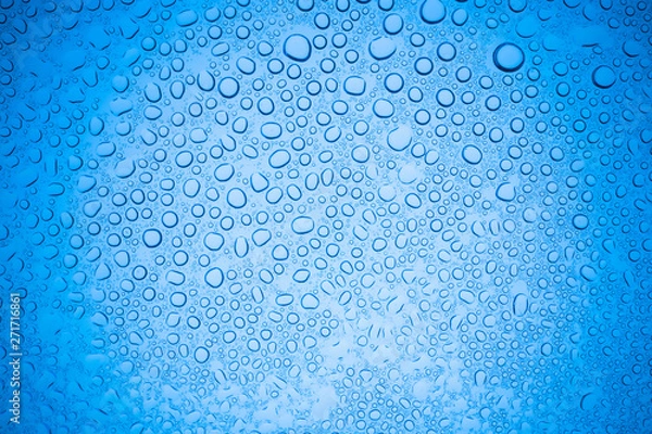 Fototapeta Rain droplets on blue glass background, Water drops on glass.