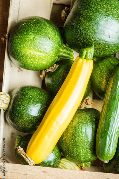 Fototapeta Many green healthy vegetables. Fresh zucchinis with great taste..Beautiful different vegetables varieties for a vegetarian food.