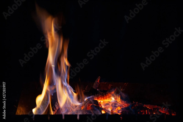 Fototapeta Close-up fire bonfire. The flame of fire burns in an open furnace at night.