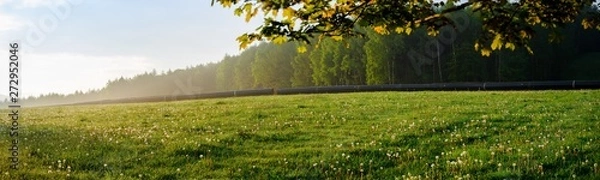 Fototapeta Pipeline Rohre in der Landschaft