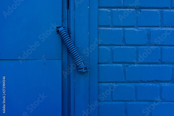 Fototapeta Blue brick wall with spring and door