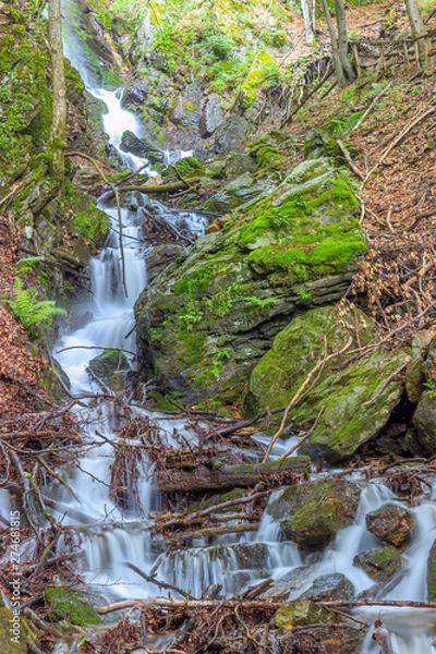 Fototapeta Beautiful tall waterfall flowing between moss-covered rocks and branches