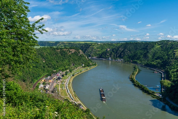 Fototapeta Ausblick auf den Rhein mit Schifffahrt bei blauen Himmel