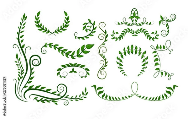 Fototapeta Set with abstract graphic green botanic elements with branches and leaves. Great element for card design.