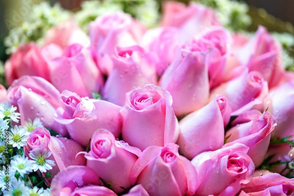 Fototapeta close up Pink roses bouquet