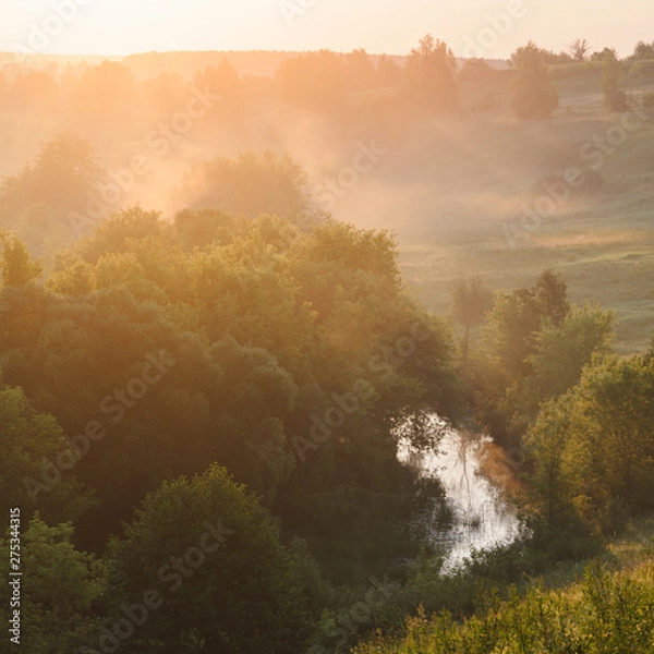 Fototapeta Serene landscape. Misty early morning on small river