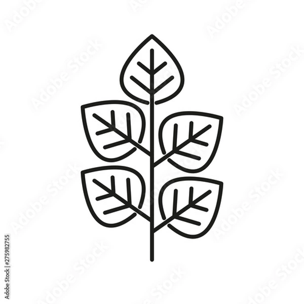 Fototapeta Icon with branches and leaves