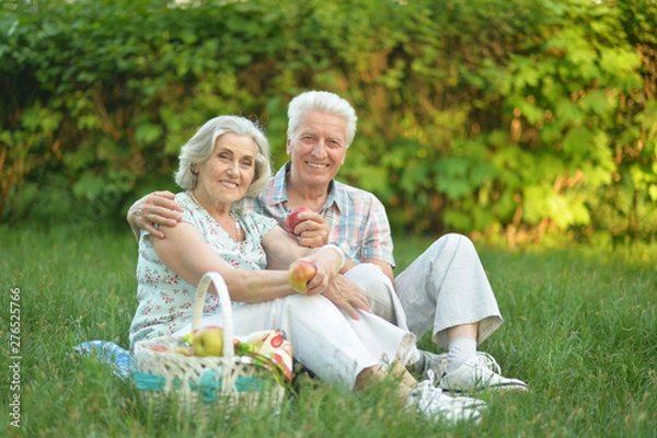 Obraz Portrait of loving elderly couple having a picnic