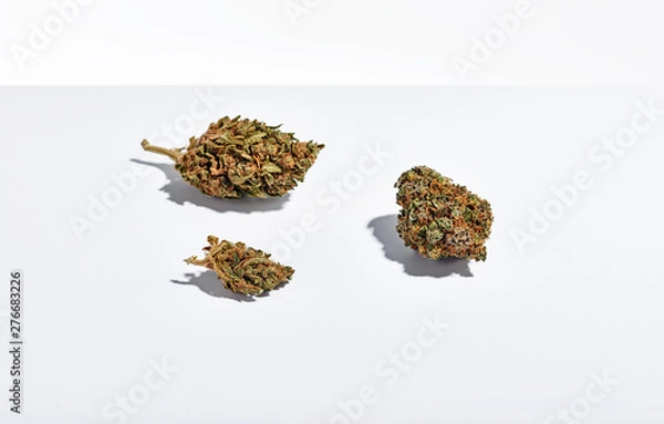 Fototapeta Dry marijuana buds isolated on white background. Traditional herbal medicine, alternative medicine