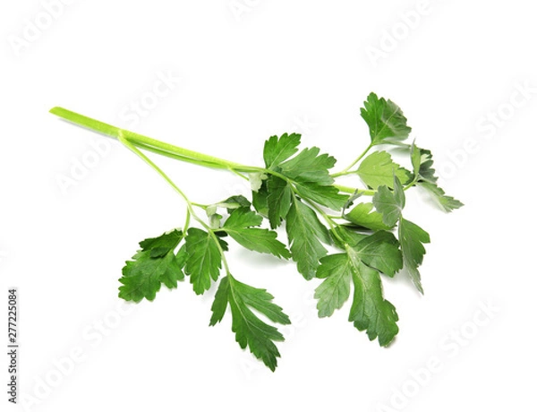 Fototapeta Fresh green organic parsley on white background