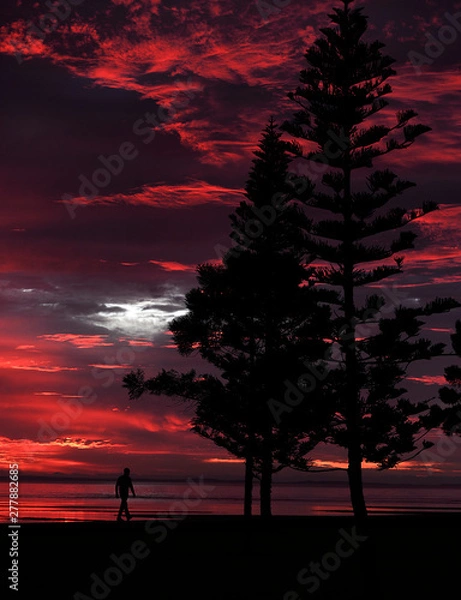 Fototapeta A beautiful colourful sunrise by the beach