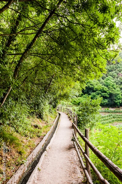 Fototapeta Algund, Waalweg, Wanderweg, Wasserversorgung, Wald, Weinberg, Vinschgau, Südtirol, Sommer, Italien