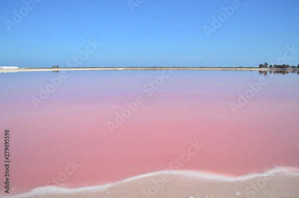 Fototapeta pink lake