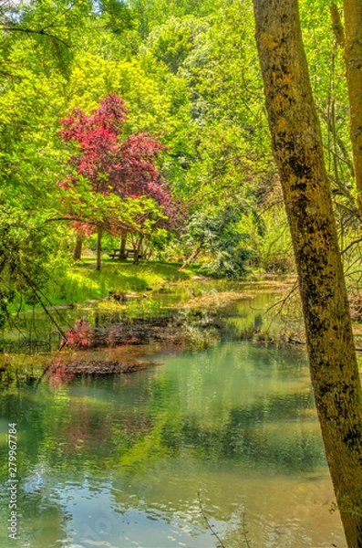 Fototapeta Spring of the river Ebro, Cantabria