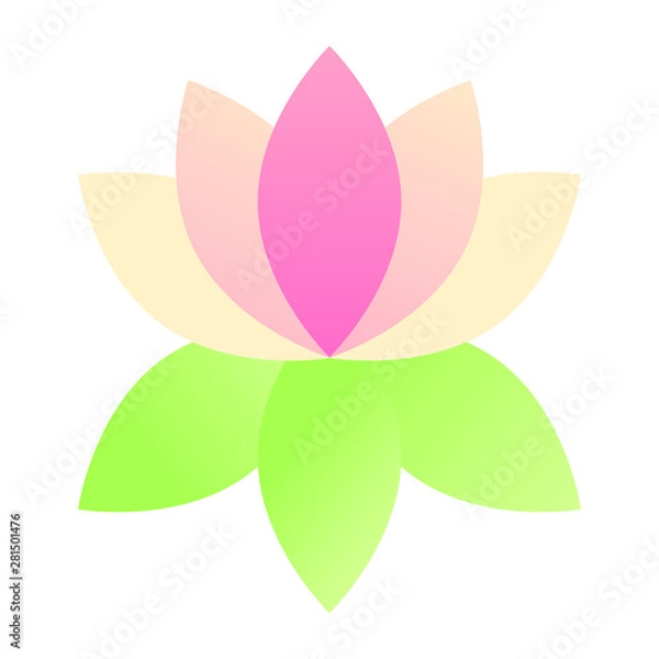 Obraz modern minimalist lotus lily flower 